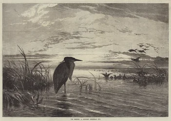 Los meses, una Nochebuena solitaria